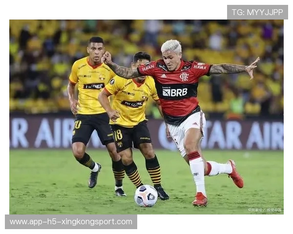 弗拉门戈防线回收迅速