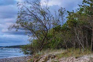 APEX英雄 冠军积分变动 多支队伍命悬一线，apex比赛冠军