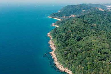 ACB联赛竞争激烈升级，acb联赛排名